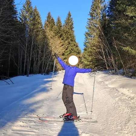 Le De Nabor Chalet Les Gets